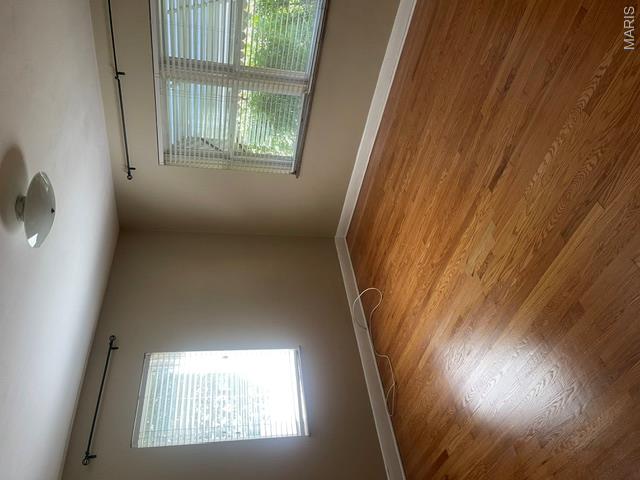 253 Turf Property Photo 4