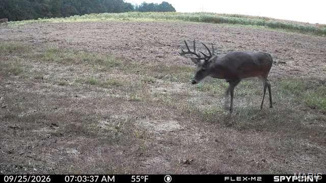 160 Highway N Property Photo 2