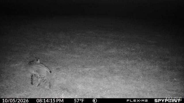 160 Highway N Property Photo 9