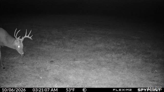 160 Highway N Property Photo 10