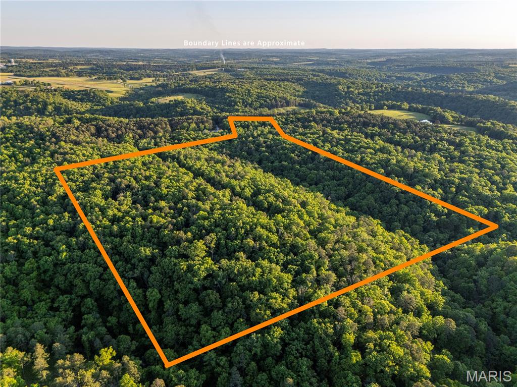 37+/- Forrest Drive