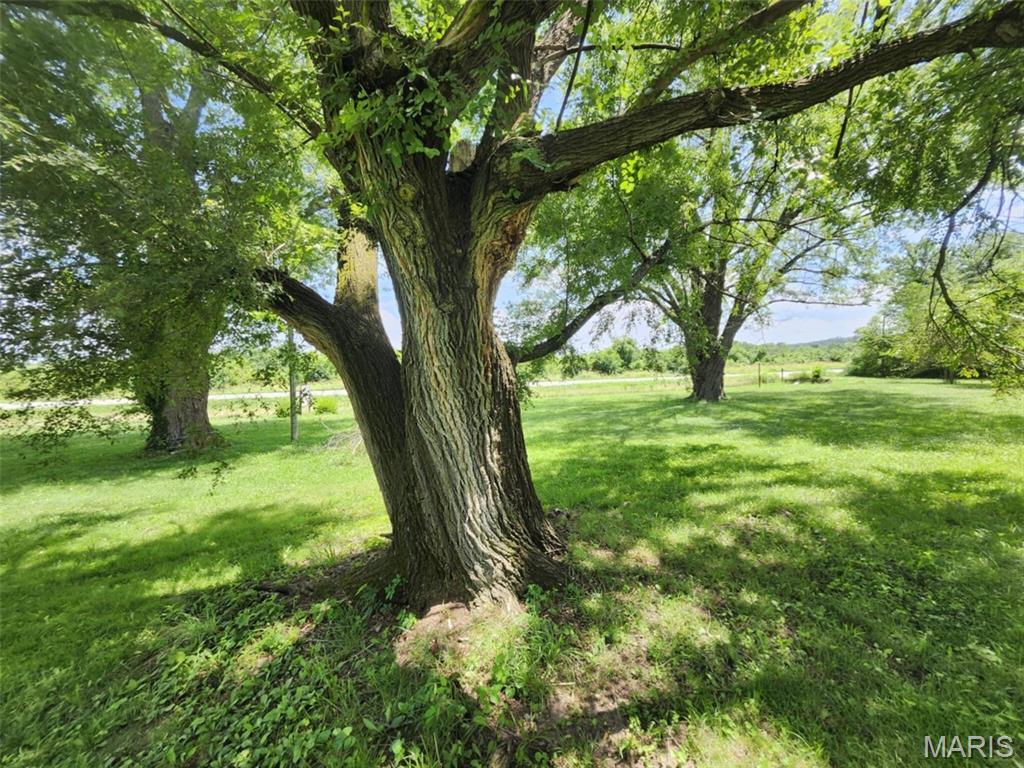 Tbd M- Highway 63 Property Photo 14