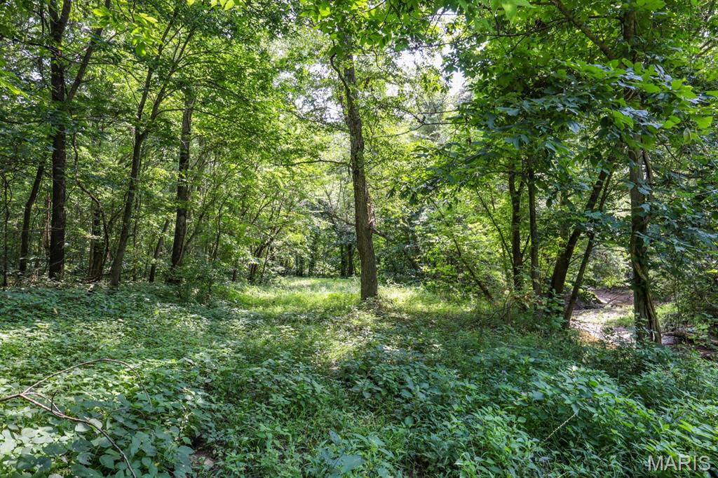 000 Ratermann Property Photo 2