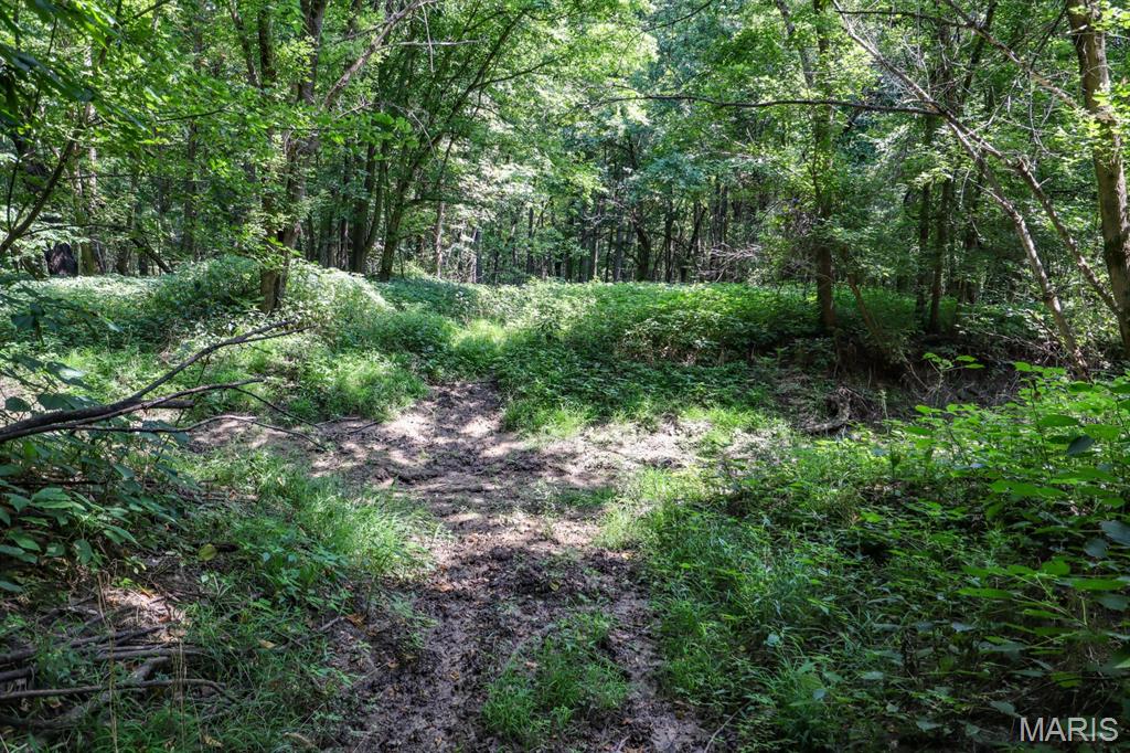 000 Ratermann Property Photo 3