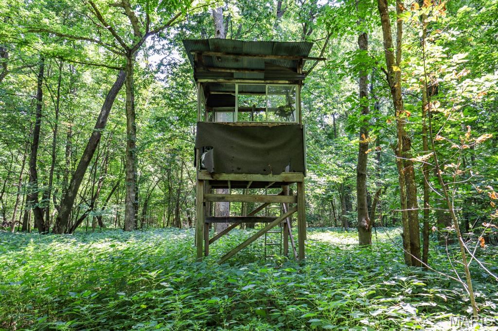 000 Ratermann Property Photo 12