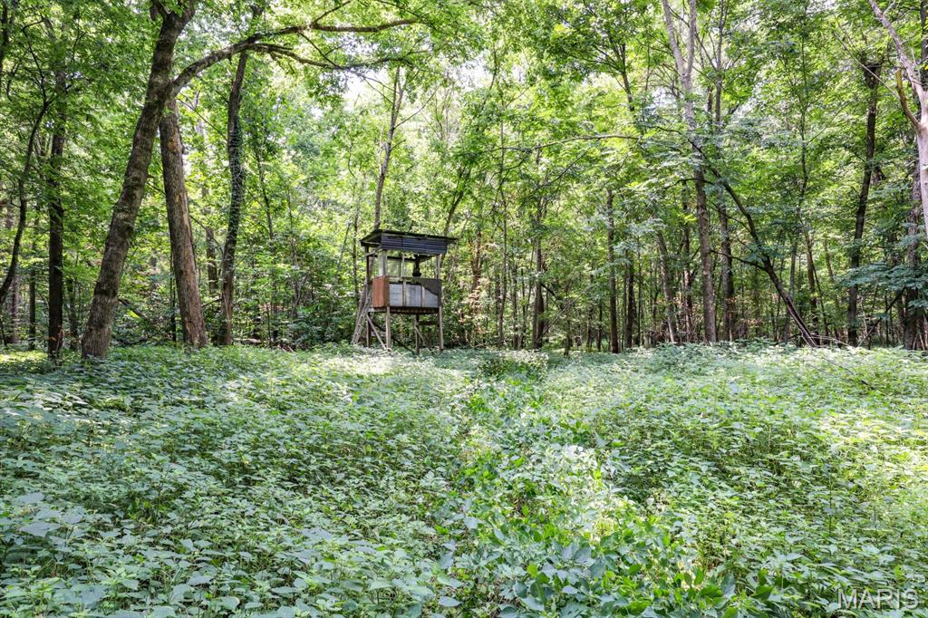 000 Ratermann Property Photo 15