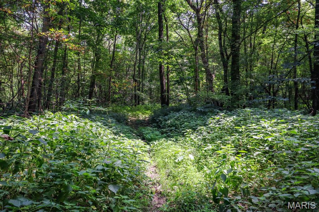 000 Ratermann Property Photo 18