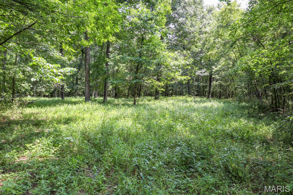 000 Ratermann Property Photo 23