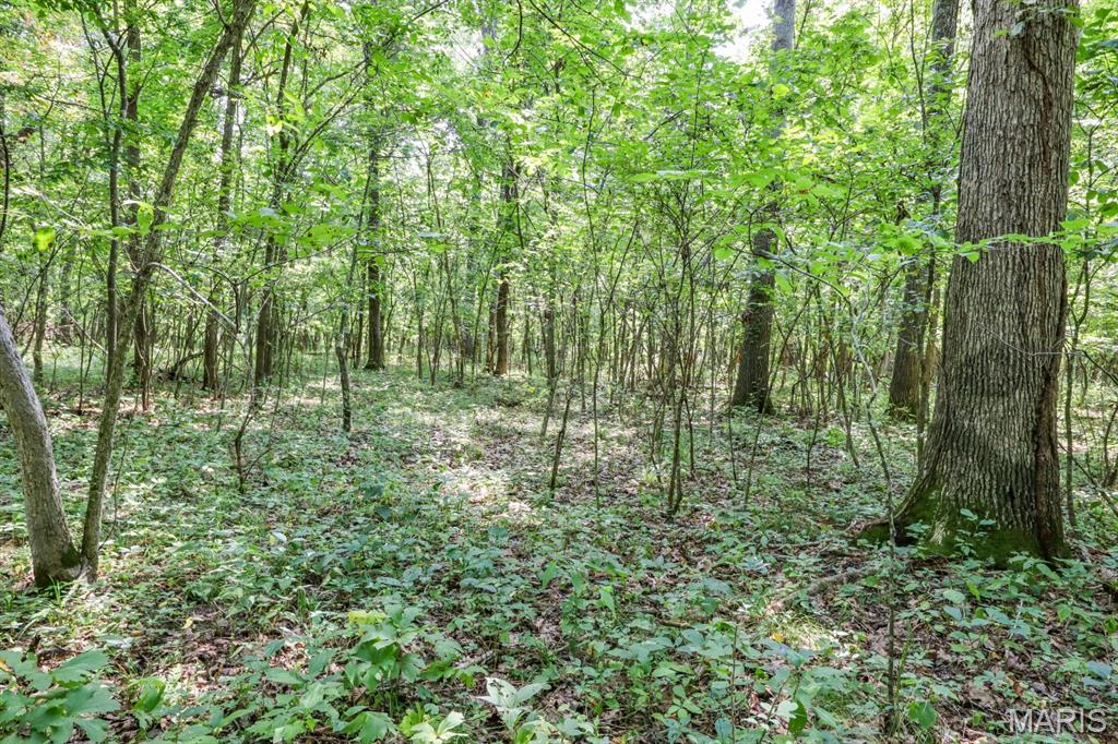 000 Ratermann Property Photo 24