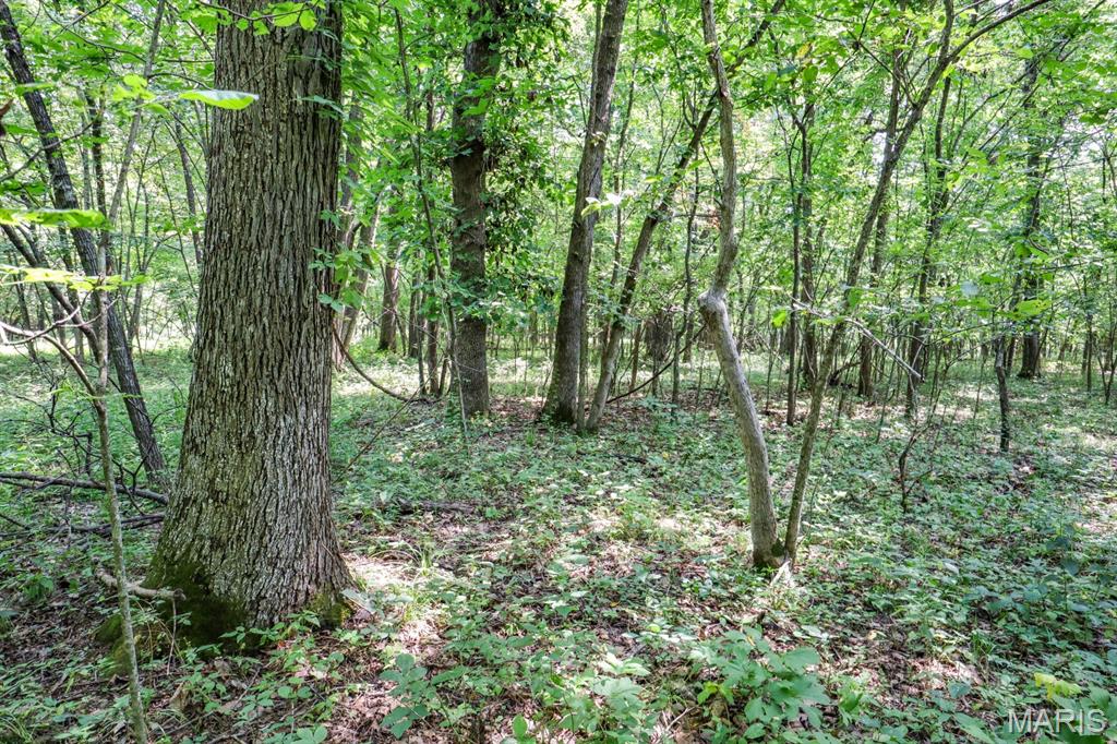 000 Ratermann Property Photo 25