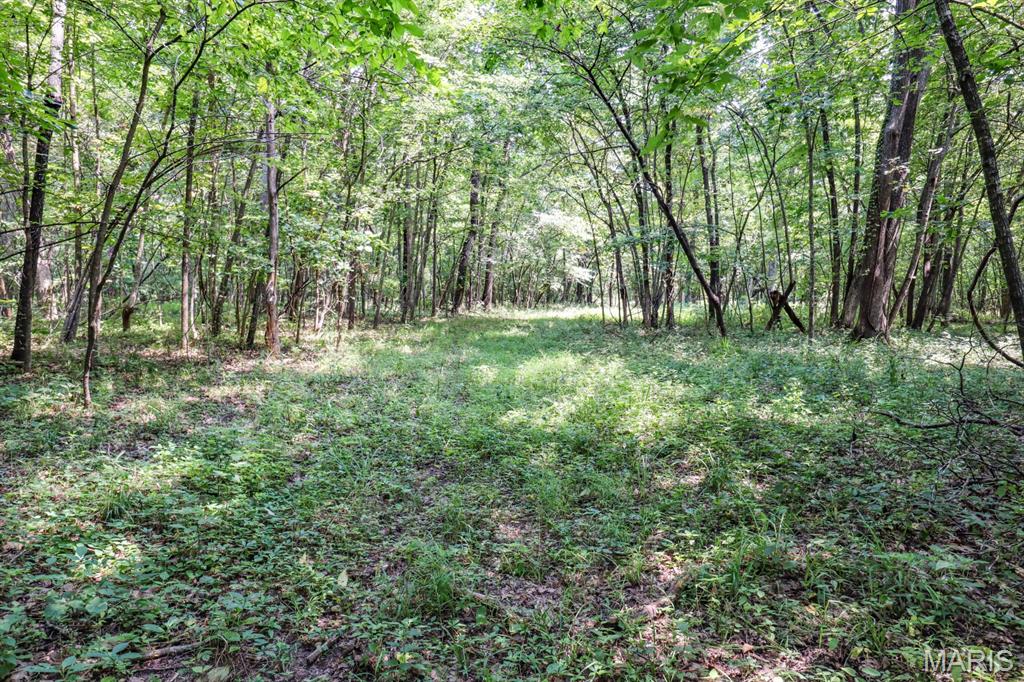 000 Ratermann Property Photo 26