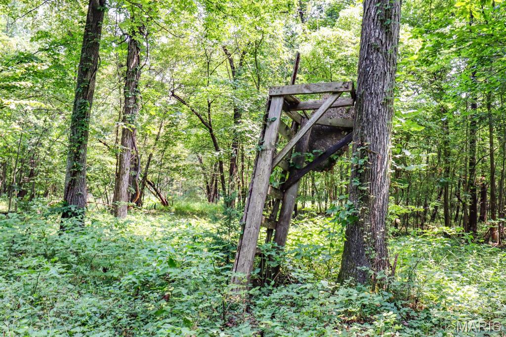 000 Ratermann Property Photo 27
