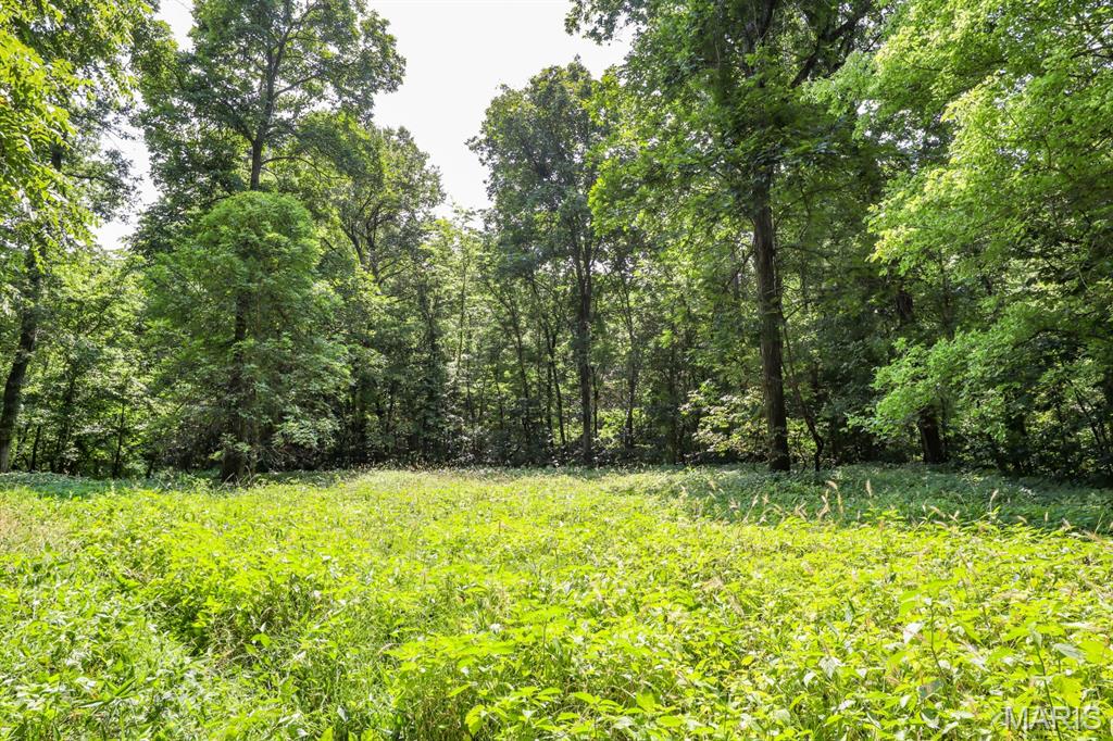 000 Ratermann Property Photo 38