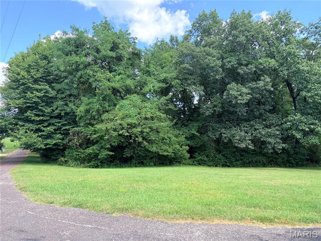 Tbd Bluff Hill Acres Property Photo 1