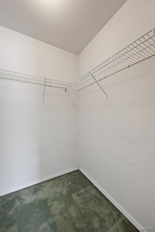 10427 Tiffany Village Court Property Photo 10