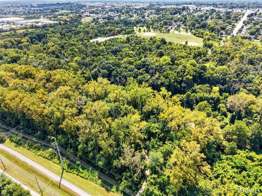 10427 Tiffany Village Court Property Photo 30