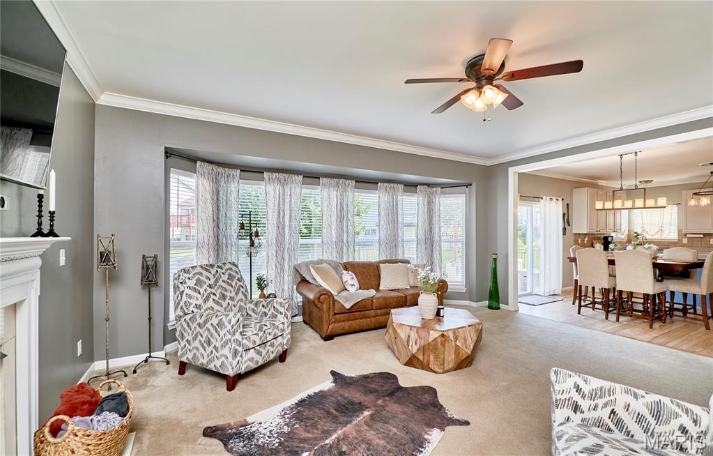 233 Spring Borough Drive Property Photo 18