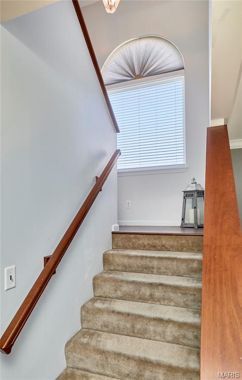 233 Spring Borough Drive Property Photo 30