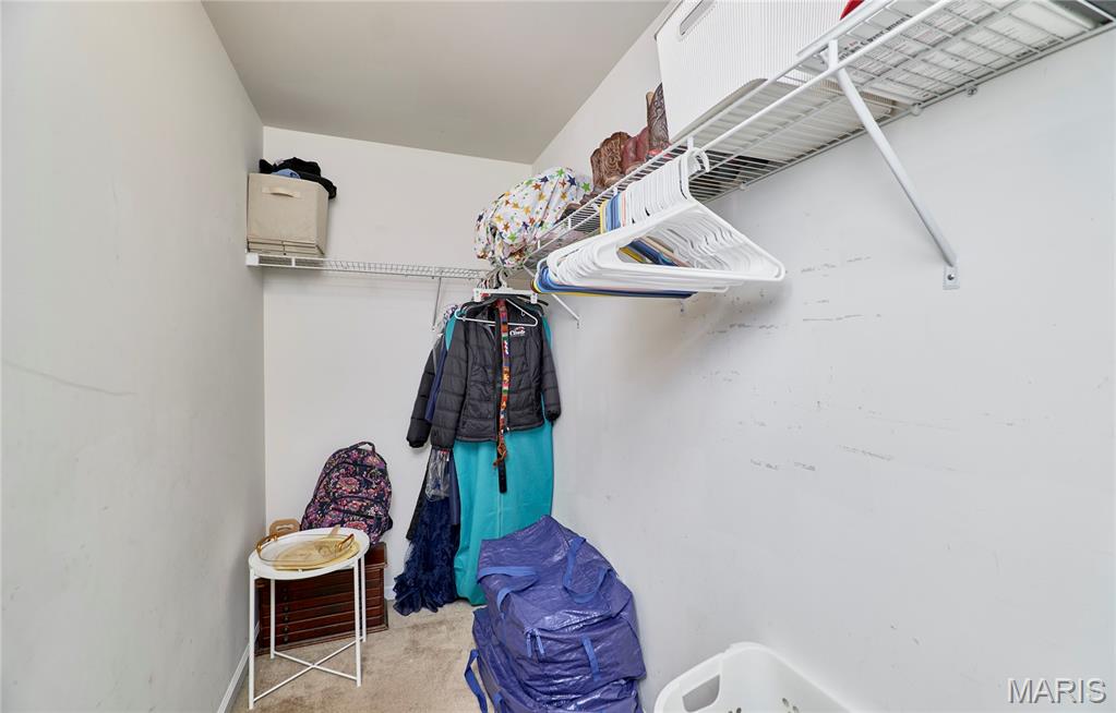 233 Spring Borough Drive Property Photo 48