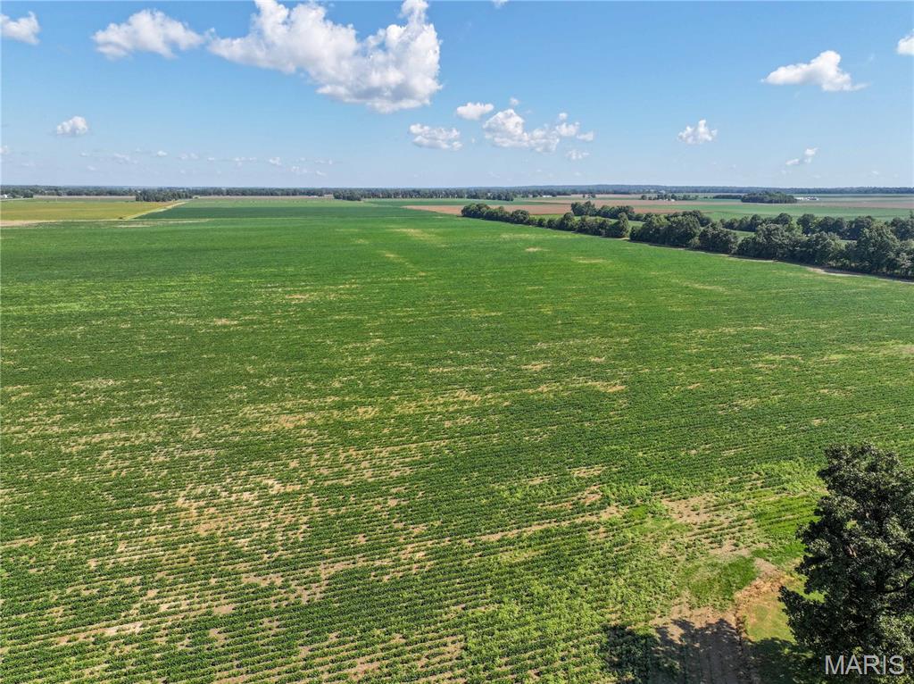 36996 State Highway 53 D Property Photo 3