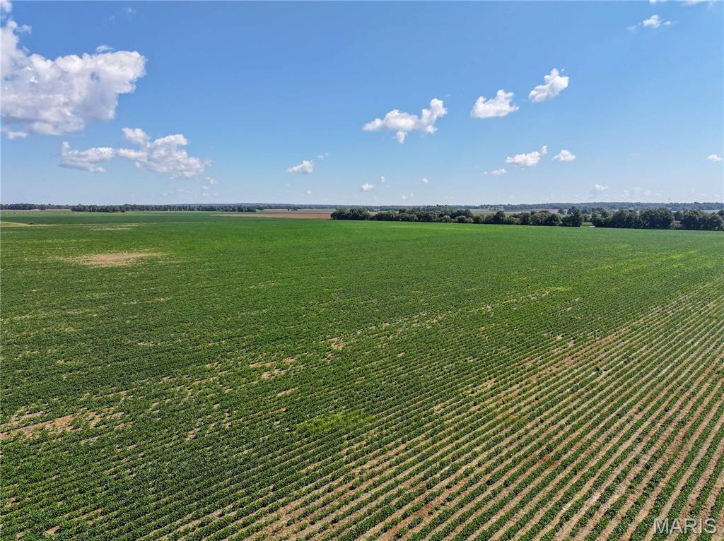 36996 State Highway 53 D Property Photo 9