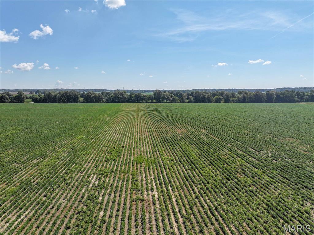 36996 State Highway 53 D Property Photo 10
