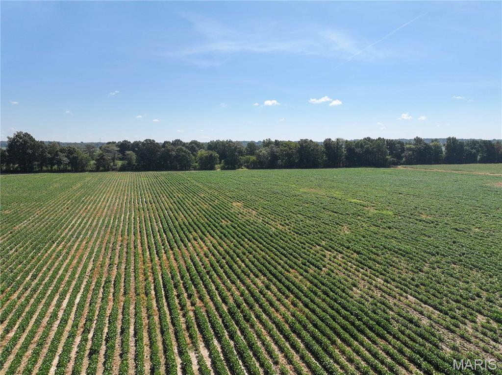 36996 State Highway 53 D Property Photo 12