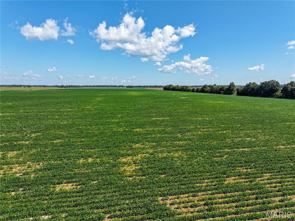 36996 State Highway 53 D Property Photo 13