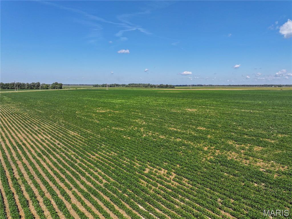 36996 State Highway 53 D Property Photo 14