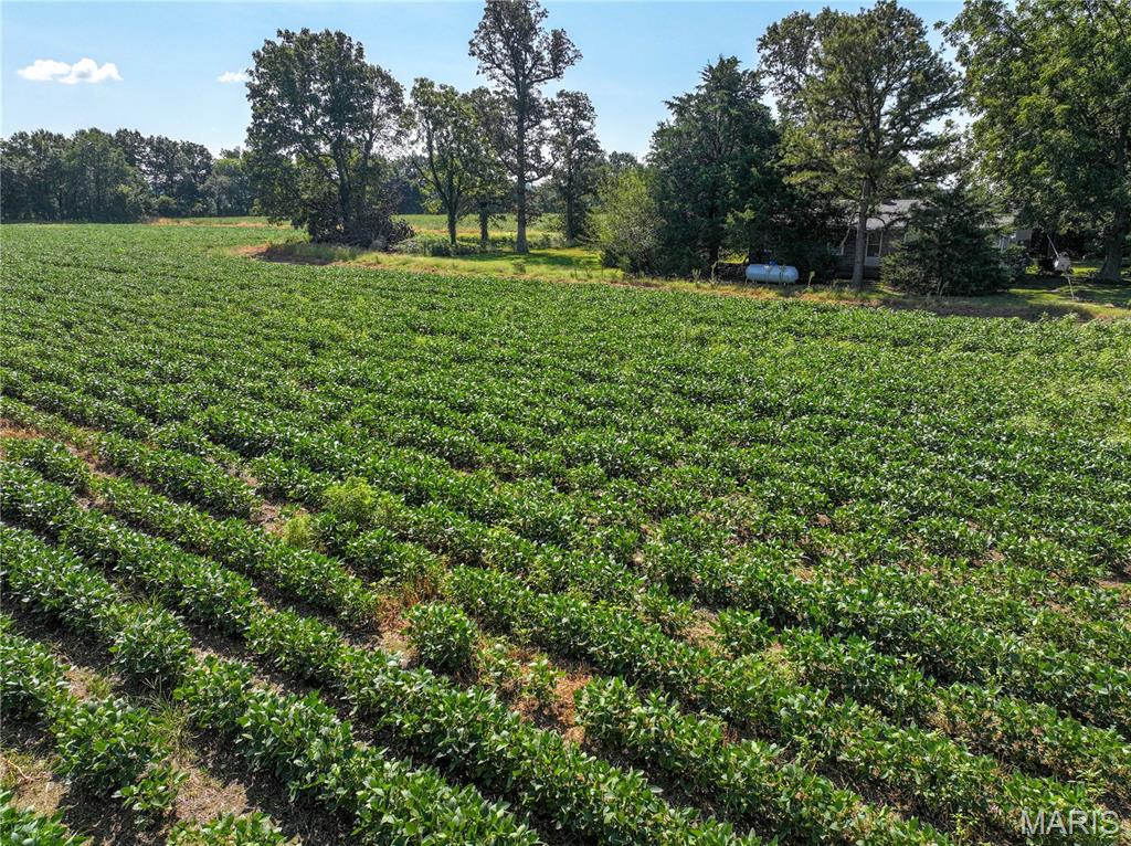 36996 State Highway 53 D Property Photo 19
