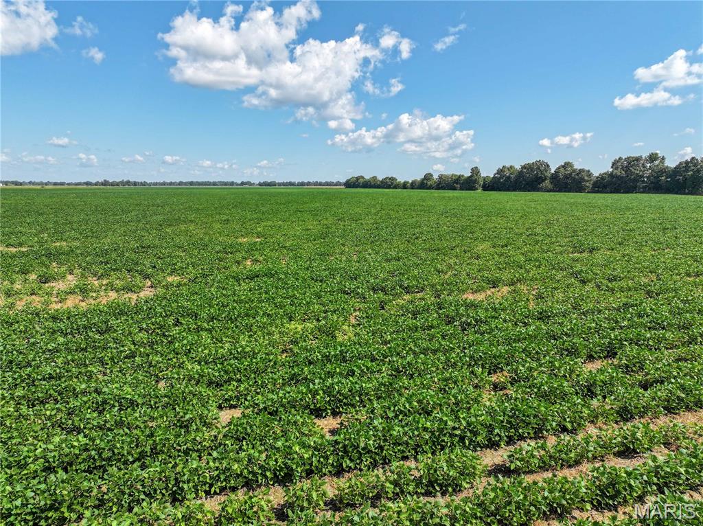 36996 State Highway 53 D Property Photo 20
