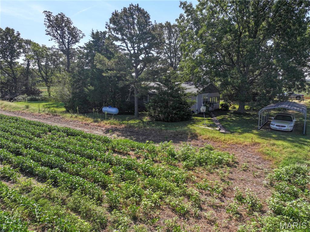36996 State Highway 53 D Property Photo 22