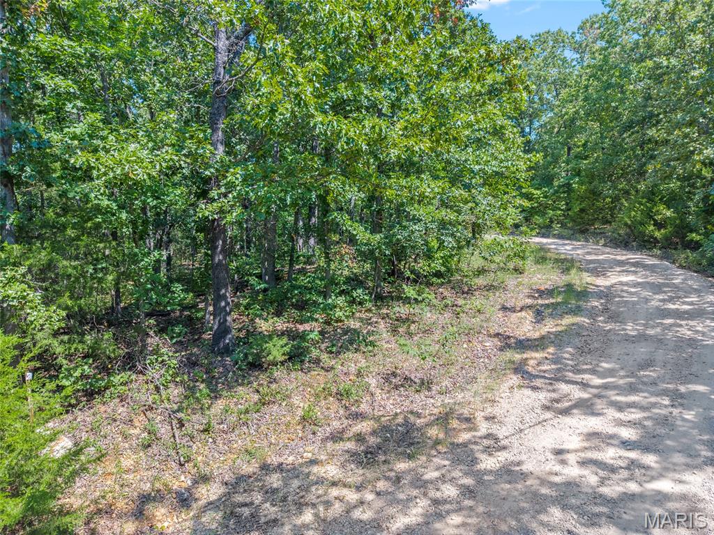 0 Little Deer Trail Property Photo 3