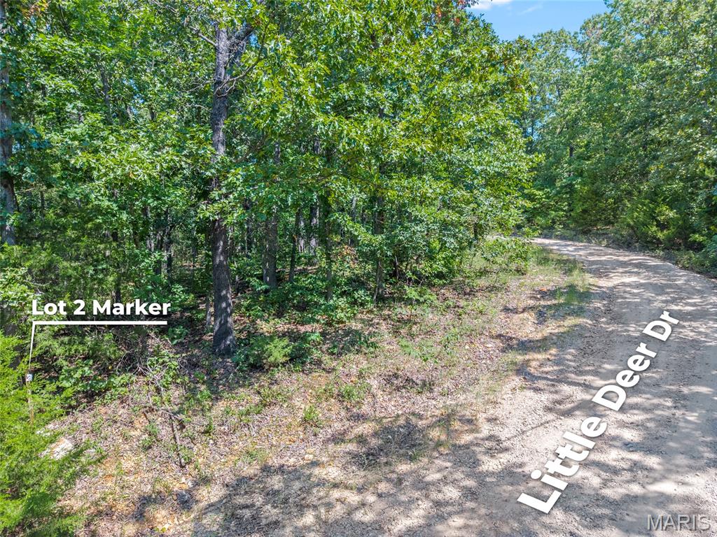 0 Little Deer Trail Property Photo 4