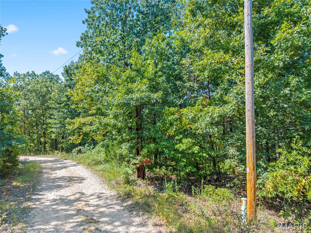 0 Little Deer Trail Property Photo 5