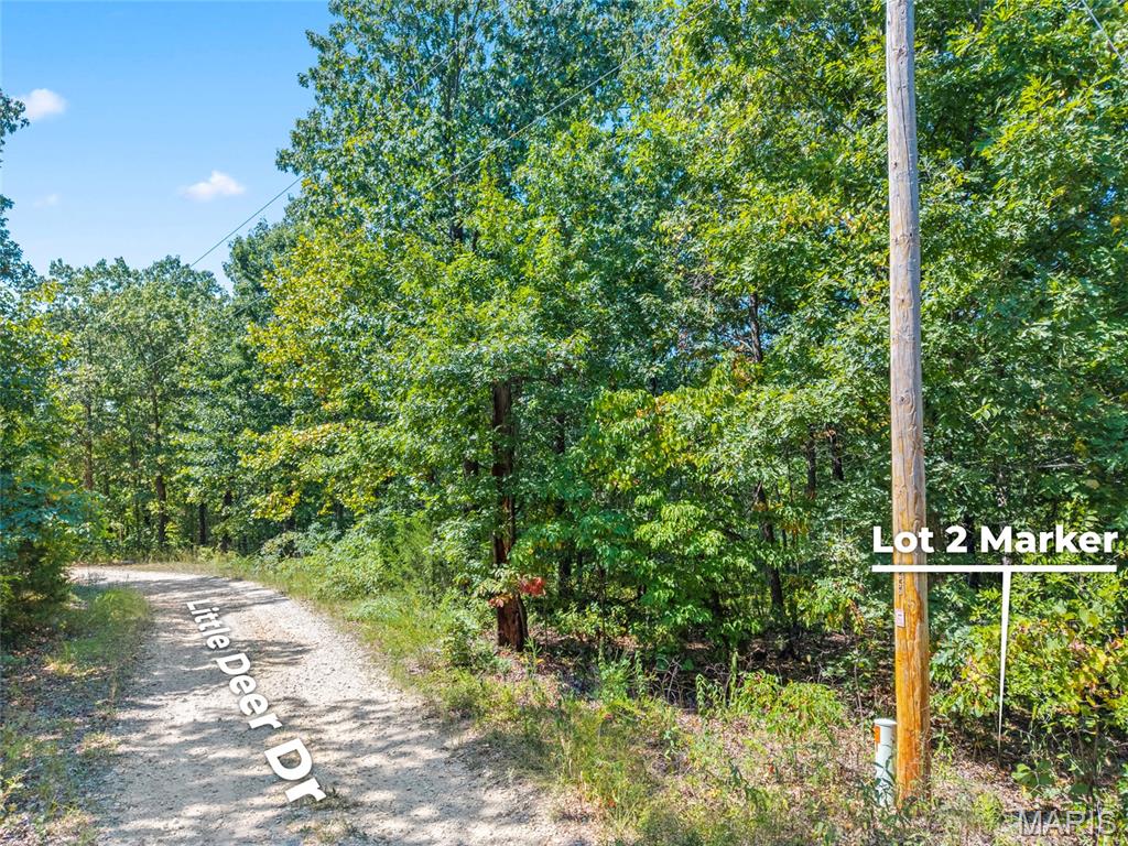 0 Little Deer Trail Property Photo 6