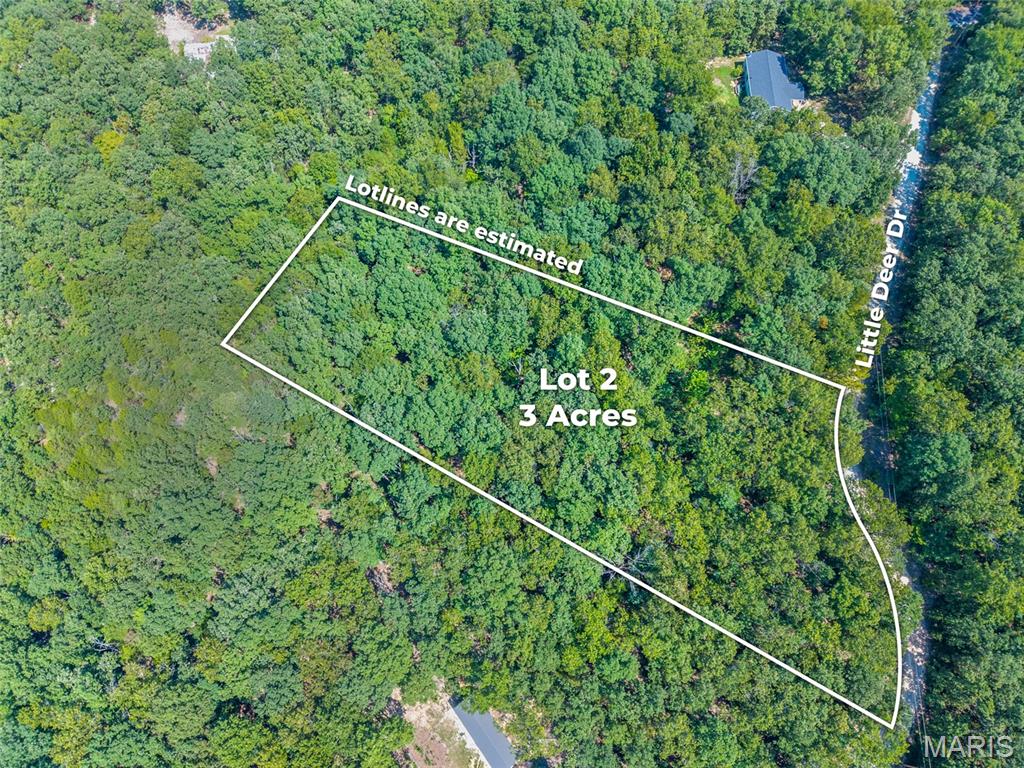 0 Little Deer Trail Property Photo 8