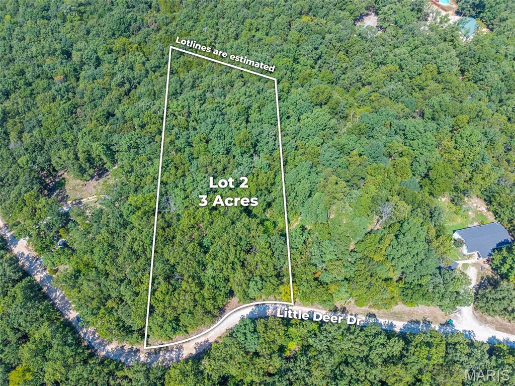 0 Little Deer Trail Property Photo 10