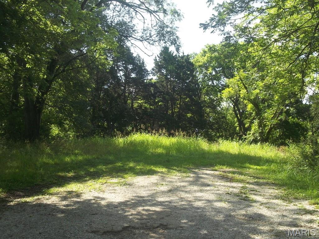 2558 Frederitzi Lane Property Photo 5