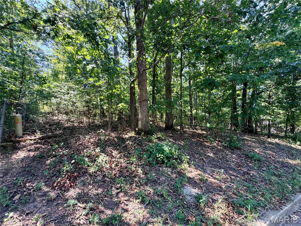1710 Forest Place Property Photo 32