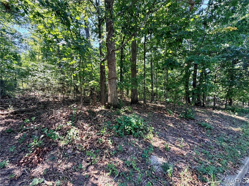 1710 Forest Place Property Photo 33