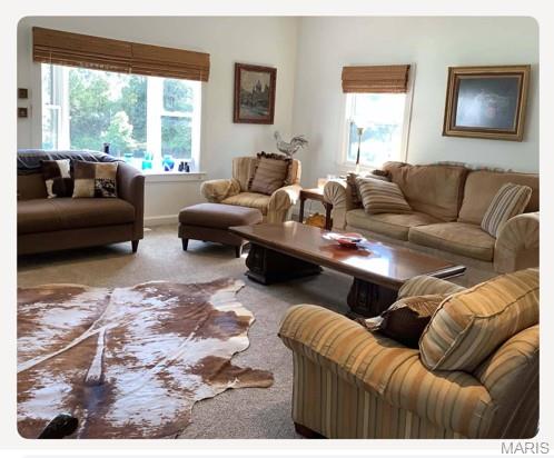 10954 Tom Frost Road Property Photo 6