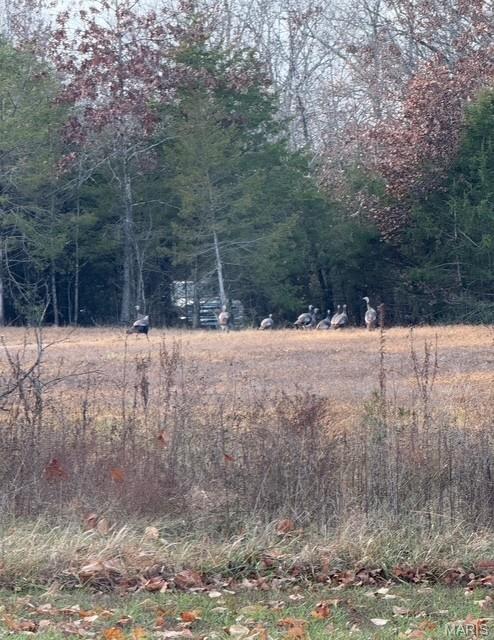 5501 Flatwoods Road Property Photo 58