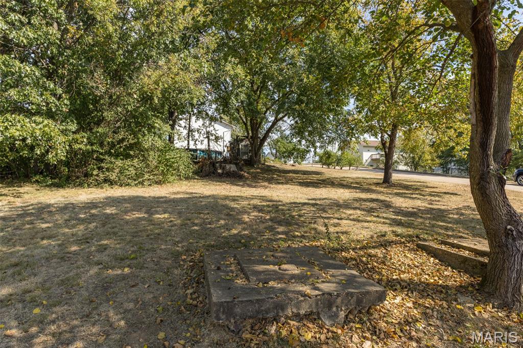 310 Donaldson Street Property Photo 17