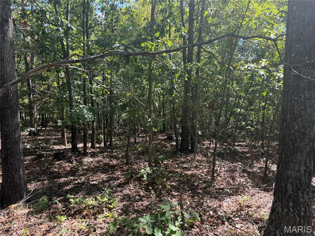 Off State Highway 72 Property Photo 7