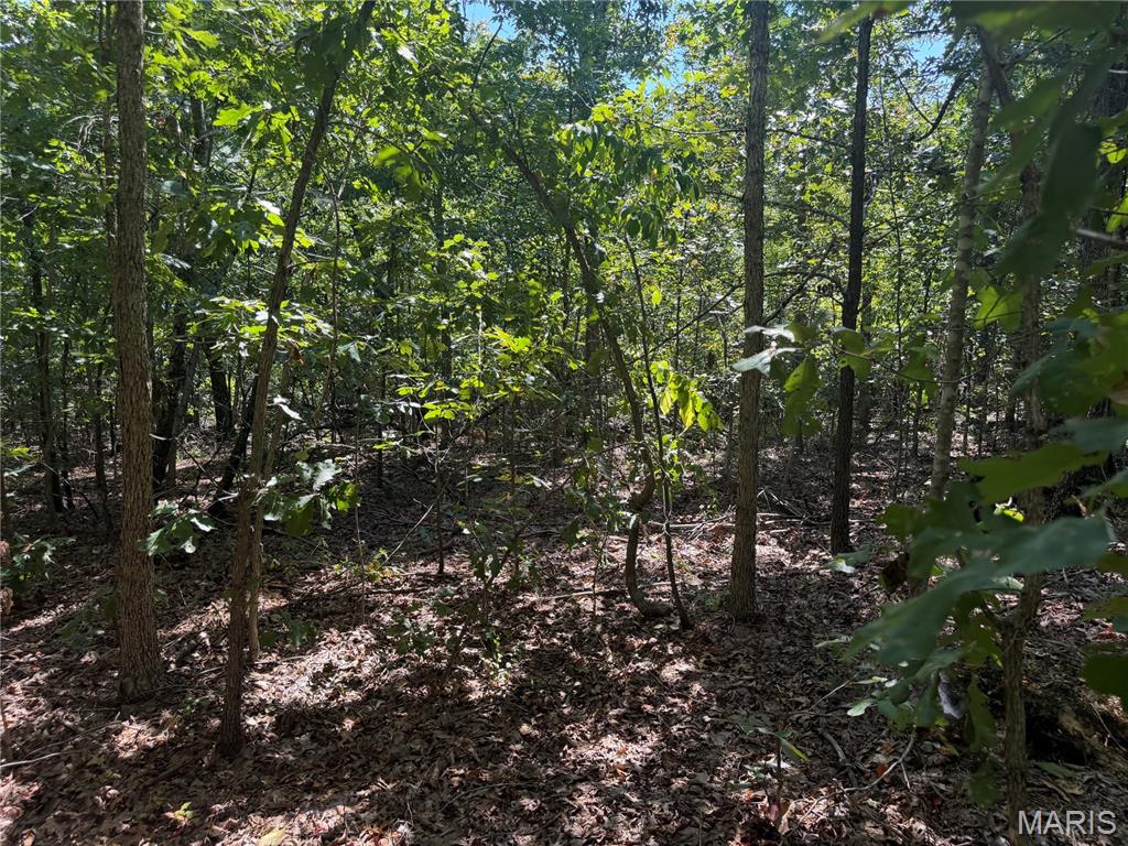 Off State Highway 72 Property Photo 15