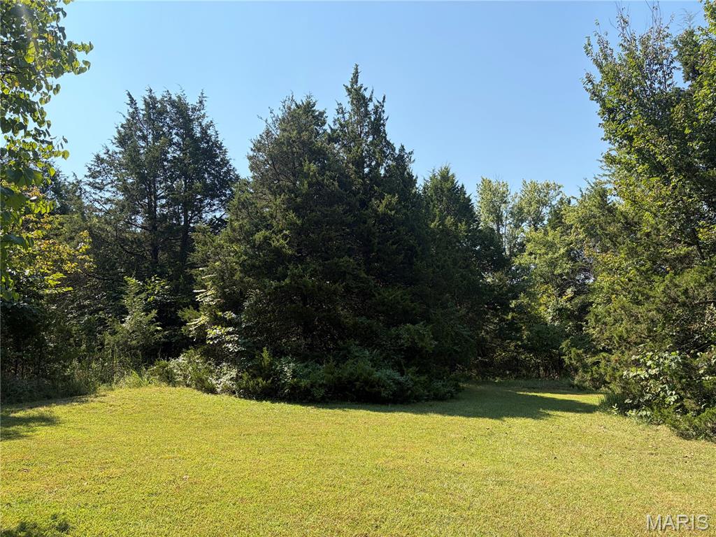 3116 Highway 50 Property Photo 9