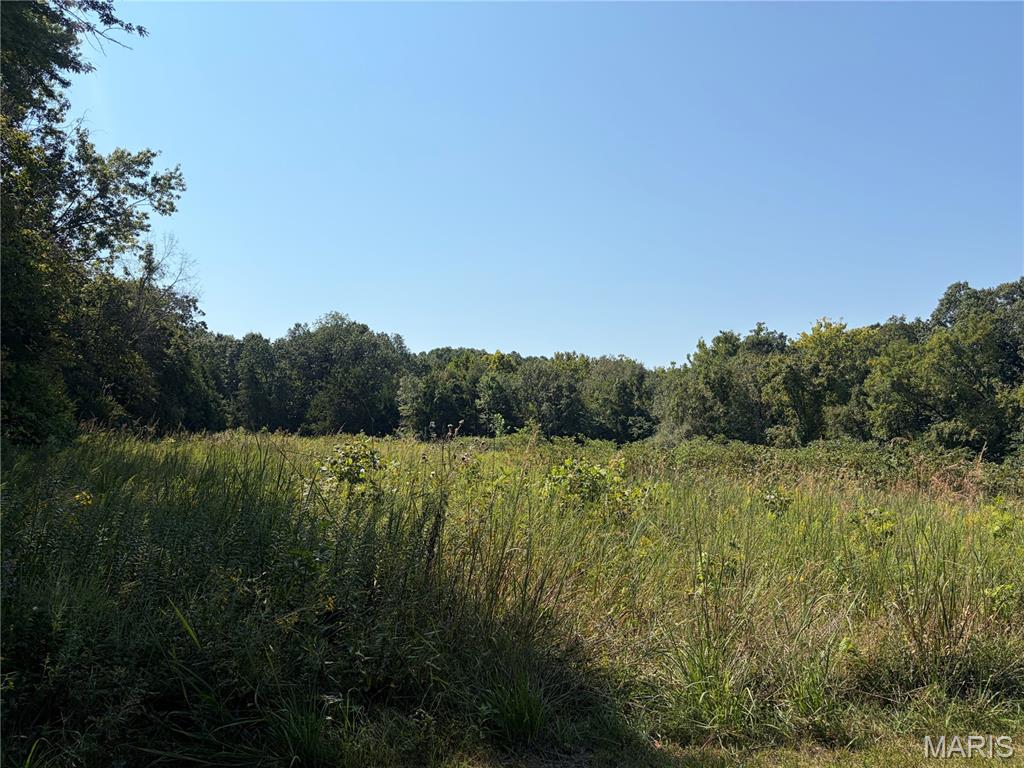 3116 Highway 50 Property Photo 10