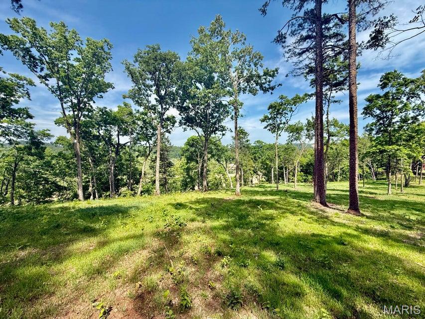 Tract 5 Circle B Road Property Photo 17