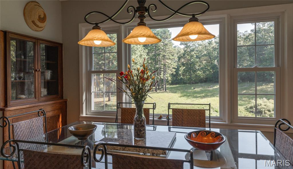385 Highway V Property Photo 18
